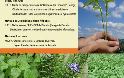 SEMANA DEL MEDIO AMBIENTE, organizado por ASOMICO