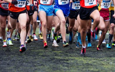 Actos conmemorativos “40 años de Cross”