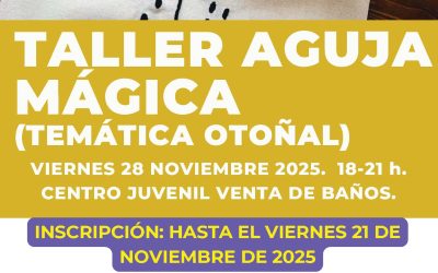 TALLER AGUJA MÁGICA