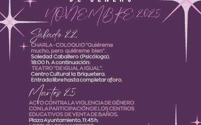 DÍA INTERNACIONAL CONTRA LA VIOLENCIA DE GÉNERO. NOVIEMBRE 2025