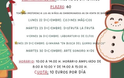 PROGRAMA DE CONCILIACIÓN DE LA VIDA LABORAL, FAMILIAR Y PERSONAL NAVIDAD 2025